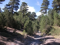 rrente Quarantore-20110911 074